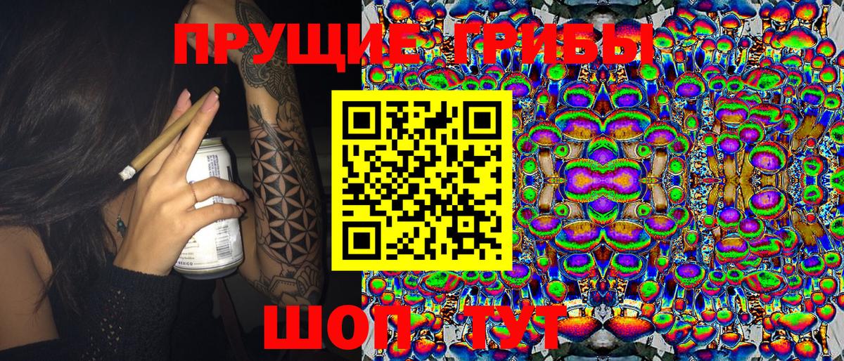 Псилоцибиновые грибы прущие грибы Кирово-Чепецк