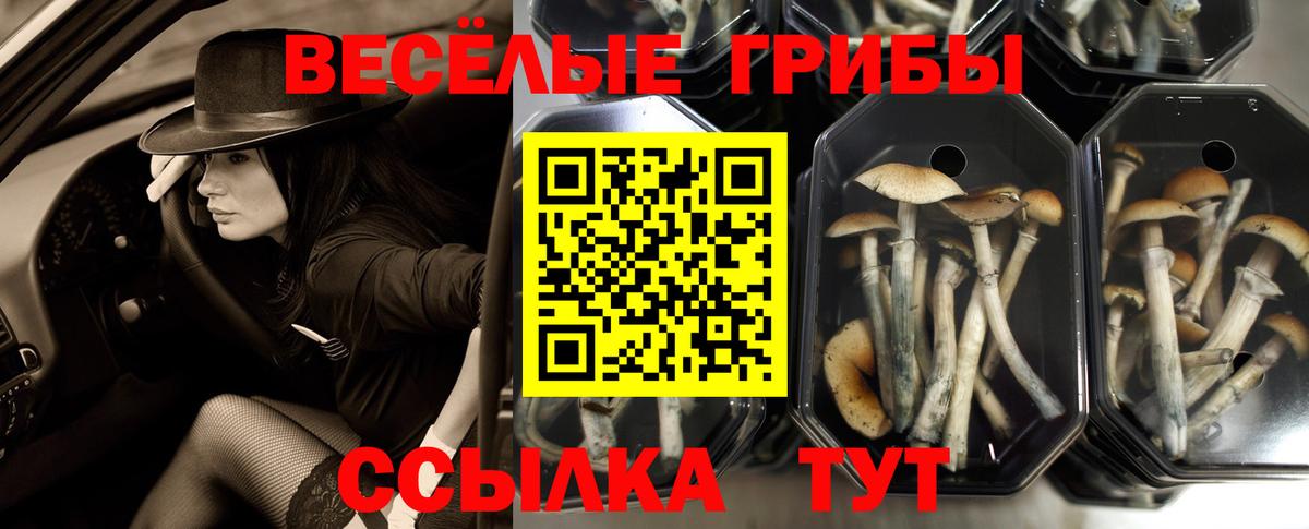 ТГК  Конопля  Cocaine  Вход с VPN  Кирово-Чепецк  ГАШ  Меф МЯУ МЯУ кристаллы 